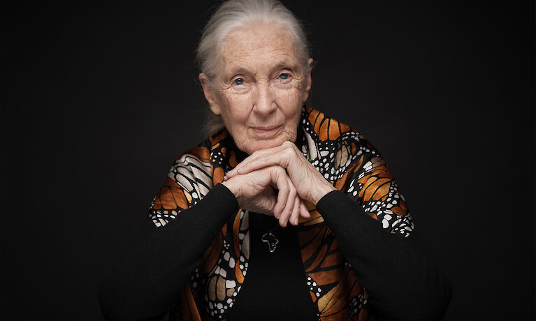 Jane Goodall am 31.5. live in Wien: 88jährige Aktivistin hält Vortrag über ihre Gründe zur Hoffnung